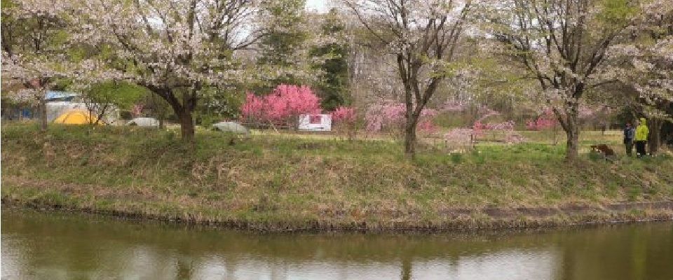 非電化工房キャンプ場